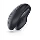 We-vibe Passionate Play Collection, black