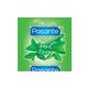 Pasante Mint Tingle Bulk (144 szt.)