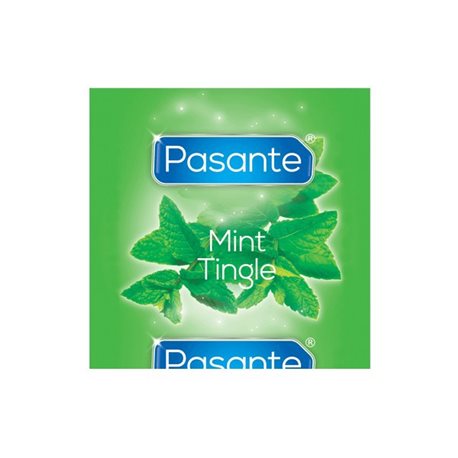 Pasante Mint Tingle Bulk (144 szt.)