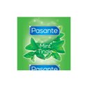 Pasante Mint Tingle Bulk (144 szt.)