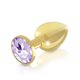 Rianne S - Boooty Plug Luxury Set 2x Gold