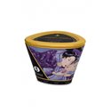 Shunga - Libido Massage Candle 170 ml