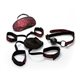 SCANDAL Bed Restraint Kit