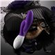 LELO Guilty Pleasures: The Intent