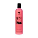 Shunga - Bath & Shower Gel Exotic Fruits 500 ml