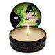 Shunga - Zenitude / Exotic Green Tea Massage Candle 30 ml