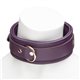 Fifty Shades Freed - Cherished Collection Leather Collar & Lead
